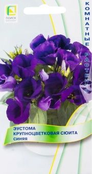 00041801_Эустома Сюита Синяя крупноцветковая 5шт (