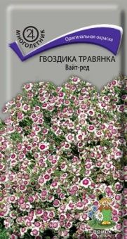 00030751_Гвоздика травянка Вайт-Ред 0,1г (ПОИСК)