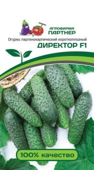 00024831_Огурец Директор 5шт (Партнер)