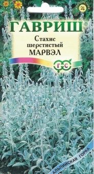 00012572_Стахис Марвэл (Гавриш) 1_1000
