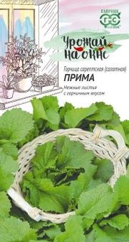 00013623_Горчица листовая Прима серия Урожай на окне (Гавриш)