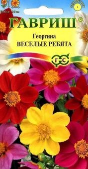 00008433_Георгина Веселые ребята (Гавриш) 11000