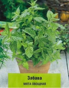 00030723_Мята Забава овощная 20шт (ПОИСК)