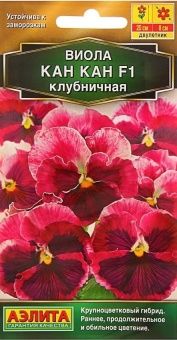 00002848_Виола Кан Кан клубничная (Аэлита)