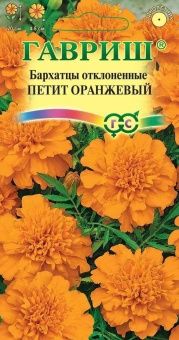 00007215_Бархатцы Петит оранжевый (Гавриш)