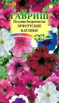 00015840_Петуния Фриллитуния Эрф. карлики бахр. (Г