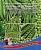 Горох Сахарный Деликатес Смесь 8г (УД)"