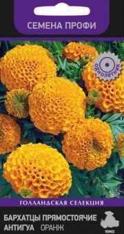 00027767_Бархатцы Антигуа оранж серия Семена Профи