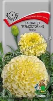 00036580_Бархатцы Аляска прямостоячие 0,4гр (ПОИСК