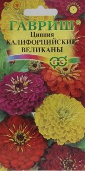 00008339_Цинния Калифорнийский великан смесь (Гавр