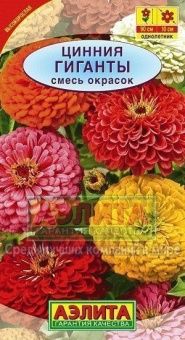 Цинния Гиганты смесь (Аэлита)