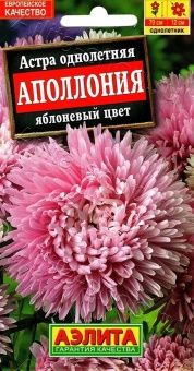 00022694_Астра Аполлония яблоневый цвет (Аэлита)