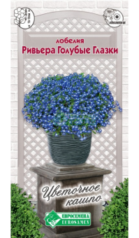 rwt2r15tlvzhw82ti3uf2hlx2snsg0cd