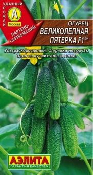 00022341_Огурец Великолепная Пятерка (Аэлита)