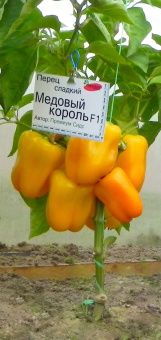 9f7abce804ccf79f10020a0db809b849