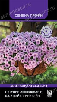 petunia_ampel_shock_wave_pink_vein