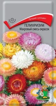 00041069_Гелихризум Махровый смесь окрасок 0,25гр 