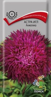 00021311_Астра игл Анжелика 0,3г (ПОИСК)