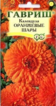 00008329_Календула Оранжевые Шары (Гавриш)