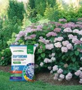 Новинка! Специализированное удобрение с богатым составом для Гортензии