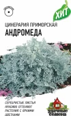 Цинерария приморская Андромеда (Гавриш) МЕТАЛЛ