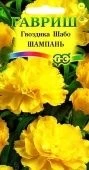 Гвоздика шабо Шампань (Гавриш) 