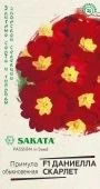 Примула Даниелла скарлет F1 5 шт Саката серия Эксклюзив (Гавриш)