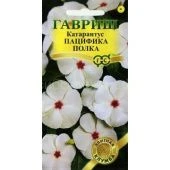 Катарантус Пацифика Полка (Гавриш)