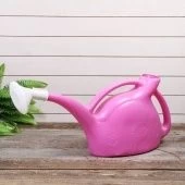 Лейка 5л с РАССЕИВАТЕЛЕМ (Радиан)1/10