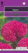 Целозия Курум розовая гребенчатая 8шт (Гавриш)