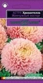 Астра Хризантелла Жемчужный восторг (Гавриш) 