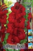 Гладиолус Фэт Бой 10шт (КолорЛайн)