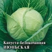 Капуста бк Июньская 25г (Гавриш)