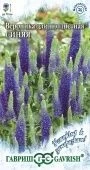 Вероника длиннолистная синяя серия Устойчив к заморозкам (Гавриш)