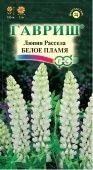 Люпин Белое пламя (Гавриш) 