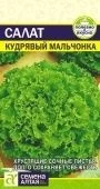 Салат Кудрявый Мальчонка 0,5г (Сем Алт)