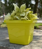 Валенсия квадрат горшок с поддоном 2,9л d19 h15 фисташка 1/14 (ТехПласт)