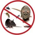 Средства от грызунов и бытовых насекомых Средства от грызунов и бытовых насекомых